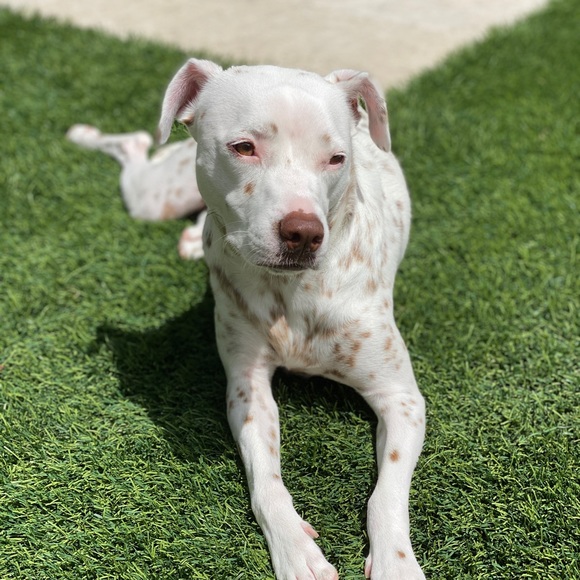 Hiii!! 🥰🌸❤️ - Picture 11 of 12